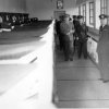 STYA 1956 (thalamos) 2
